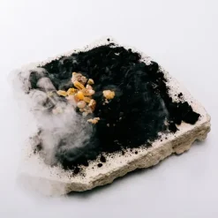 New 7 Anónimo Perfumes