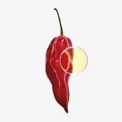 Online 7 Elixir Perfumes