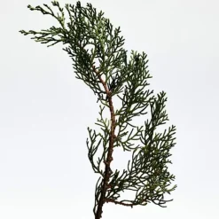 Outlet 001 Man Eau De Parfum Perfumes