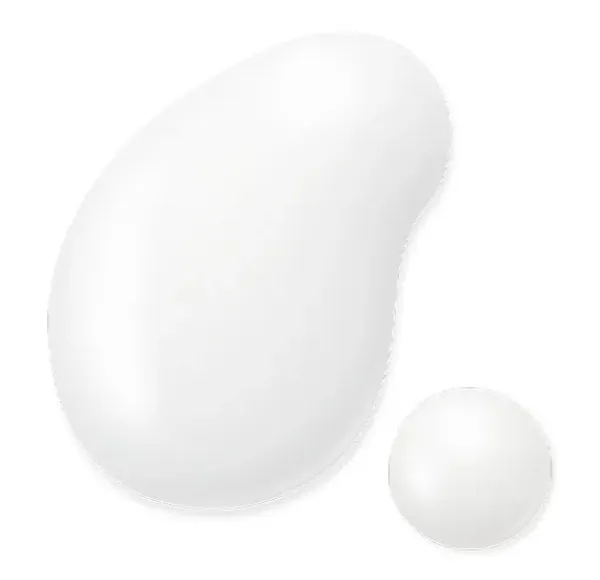 Absolute Silk Cleansing Milk*SENSAI Outlet