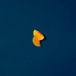 Acqua Di Giò Profondo Perfumes