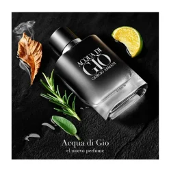 Best Acqua Di Gio Parfum Perfumes