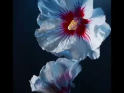 Acqua Di Gio Profondo Parfum*ARMANI Discount