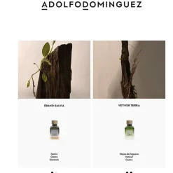 Outlet Vetiver Terra Perfumes