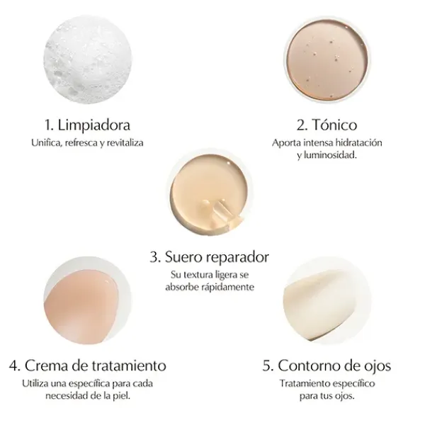 Best Advanced Night Repair Synchronized Multi-Recovery Complex Serums