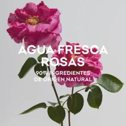 Agua Fresca De Rosas*ADOLFO DOMINGUEZ