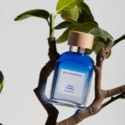 Agua Fresca Lima Tonka*ADOLFO DOMINGUEZ Outlet