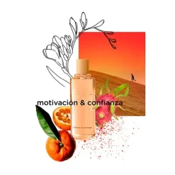 Outlet VICTORIO & LUCCHINO Aguas Esenciales Energia Positiva