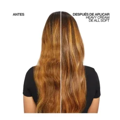 New REDKEN All Soft Heavy Cream