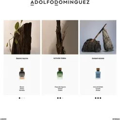 Best Ambar Negro Perfumes