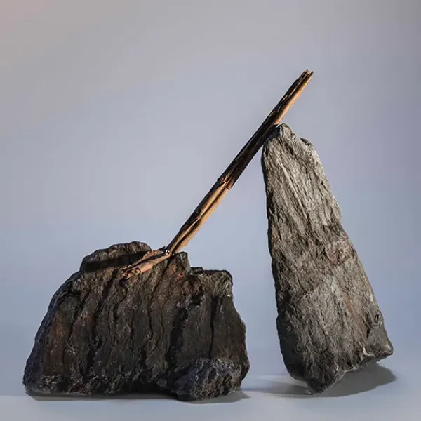 Best Ambar Negro Perfumes