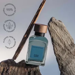 Best Ambar Negro Perfumes