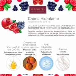 Online Antiox Long Crema Hidratante Antiedad