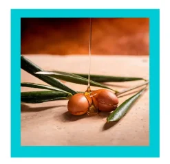 Clearance OGX Argan Oil Of Morocco