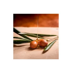 New OGX Argan Oil Of Morocco Conditioner