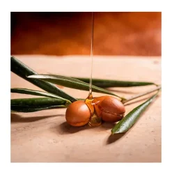 Best OGX Argan Oil Of Morocco Shampoo