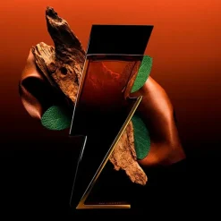 Bad Boy Elixir Perfumes