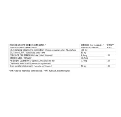 Online DEITERS Basics Defensas