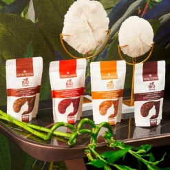 Clearance ORIENTANA Bio Henna