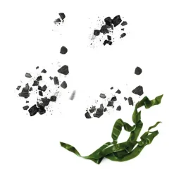 Outlet Black Mask Tissu Pure Charcoal Mascarillas