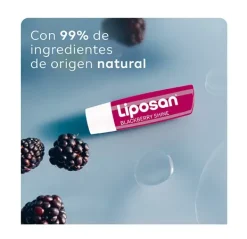 Blackberry Shine*LIPOSAN Outlet