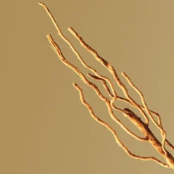 Discount Boss Bottled Eau De Parfum Perfumes