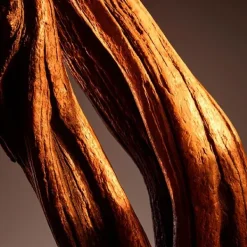 Outlet Boss Bottled Parfum Perfumes