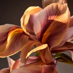 Outlet Boss Bottled Parfum Perfumes