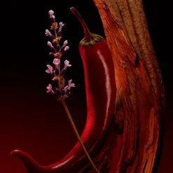 New Boss Scent Elixir Perfumes