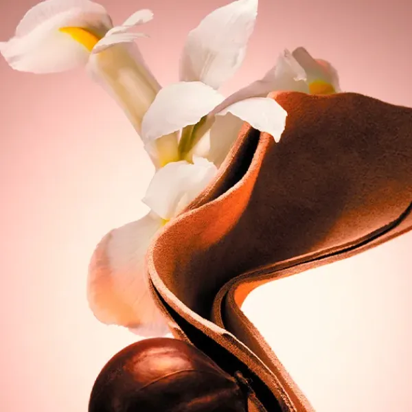 Clearance Boss The Scent Le Parfum For Him Perfumes