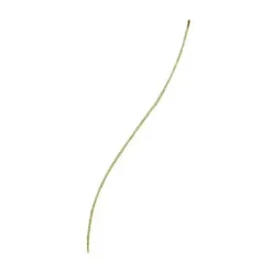 Discount Brow Micro Fine Pencil Cejas