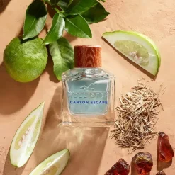 Sale HOLLISTER Canyon Escape For Him