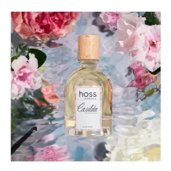 Online HOSS INTROPIA Casilda