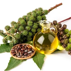 Castor Oil*BIOVENE