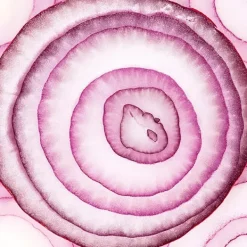 Hot ARMONIA Champú De Cebolla