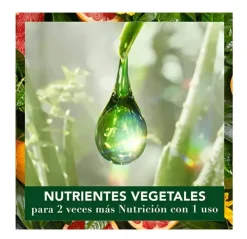 Hot HERBAL ESSENCES Champú Pomelo Blanco Y Menta Mosa