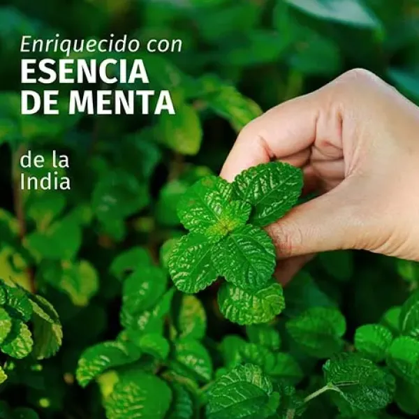 Champú Purificante Menta*HERBAL ESSENCES