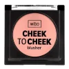 New Check To Check Blusher Coloretes