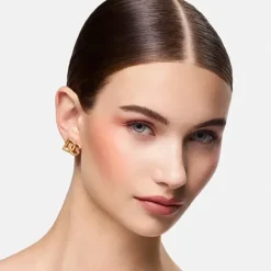 Cheeks&Eyes Match*DOLCE & GABBANA New