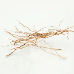 Ck Everyone*CALVIN KLEIN Sale