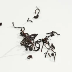 Ck Everyone*CALVIN KLEIN Sale