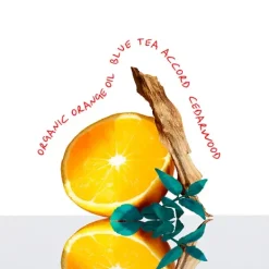 Ck Everyone*CALVIN KLEIN Best