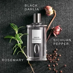 Best DAVID BECKHAM Classic Homme