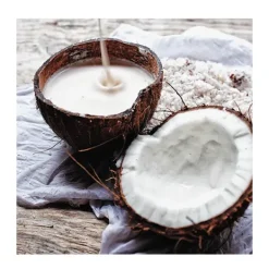 Online OGX Coconut Milk Shampoo