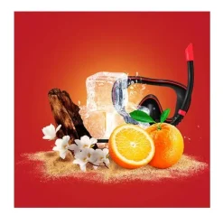 Sale OLD SPICE Cofre Del Tesoro