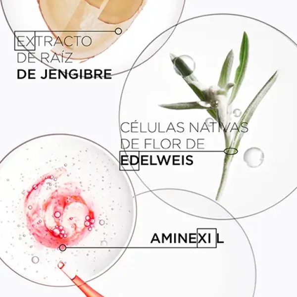 Clearance KERASTASE Cofre Genesis Classic