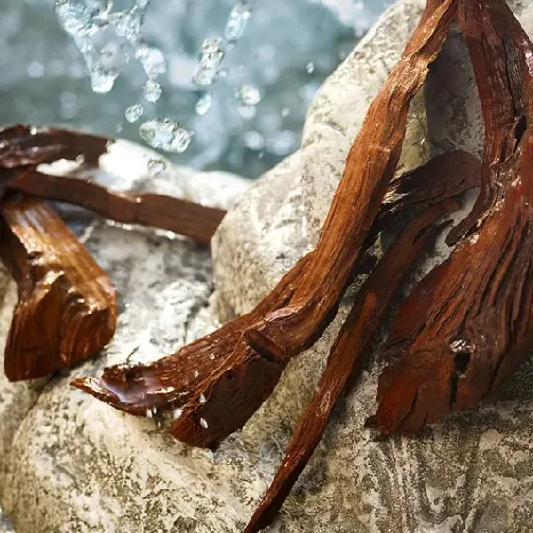 Online Cofre Light Blue Estuches Mujer