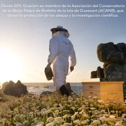 Online GUERLAIN Cofre Trio Cremas