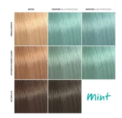 Wella Professionals Color Fresh Mask Mint