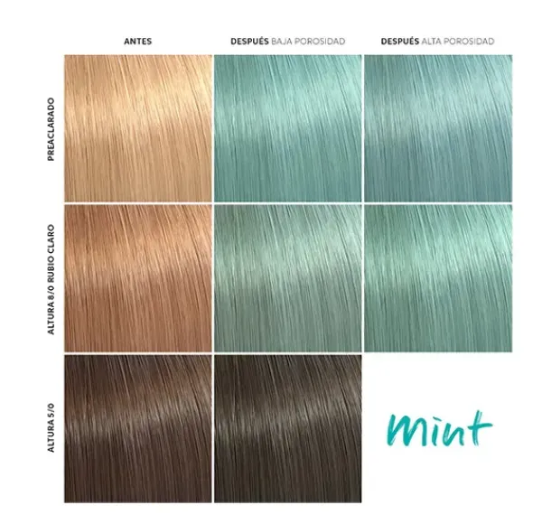 Wella Professionals Color Fresh Mask Mint